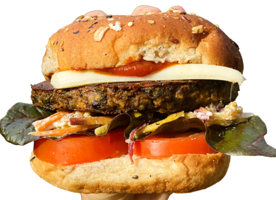 AKUA obtiene $ 3.2 millones para convertir algas en hamburguesas