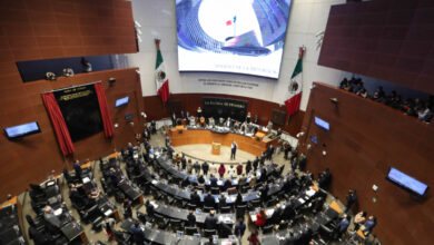 Alistan senadores iniciativas para regular inversiones de funcionarios en paraísos fiscales