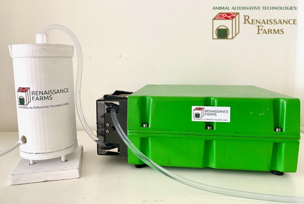 Animal Alternative hace un juego de plataforma en el creciente mercado de la carne cultivada