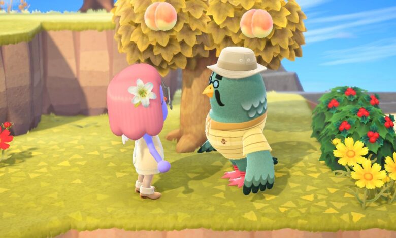 Animal Crossing: Cómo encontrar a Brewster |