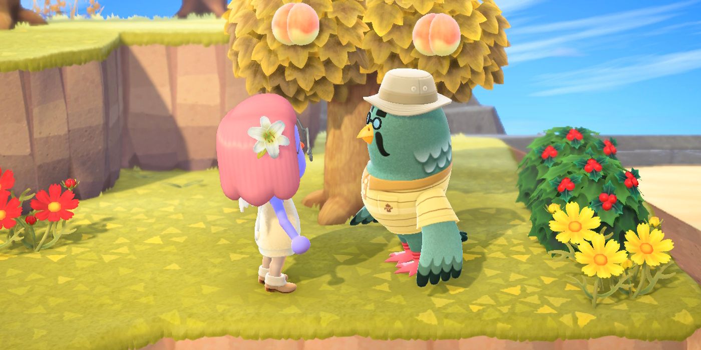 Animal Crossing: Cómo encontrar a Brewster |
