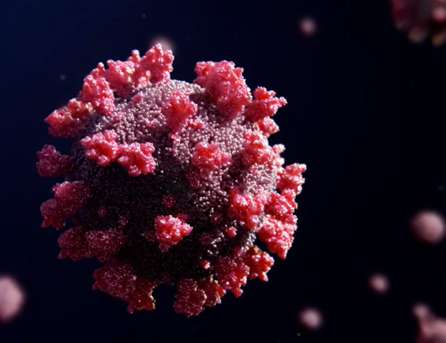 Así está formada una proteína de espiga de Omicron