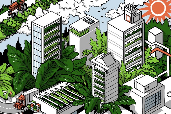 Bowery Farming nos obliga a todos a mirar hacia el futuro de la agricultura vertical