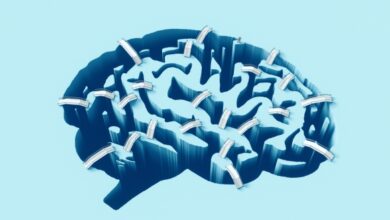 BrainCheck aporta otros $ 10 millones para detectar y controlar el deterioro cognitivo