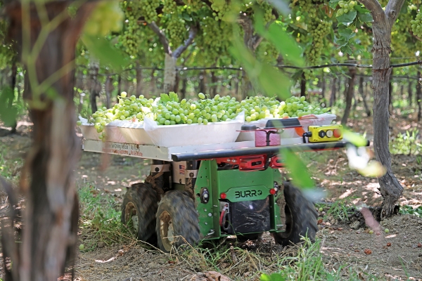 Burro recauda $ 10,9 millones para transporte autónomo de productos agrícolas