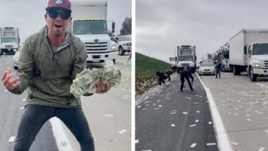 Camión deja caer dólares en una carretera EU; las autoridades piden a quienes los recogieron que los devuelvan | Video