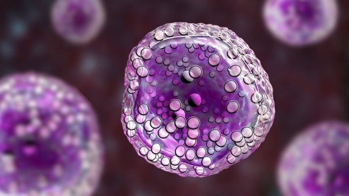 Cellino está utilizando inteligencia artificial y aprendizaje automático para escalar la producción de terapias con células madre