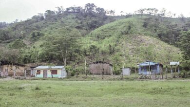 Chiapas: CNI denuncia ataque armado de tsotsiles a zoques por disputa de tierras en el ejido Esquipulas Guayabal