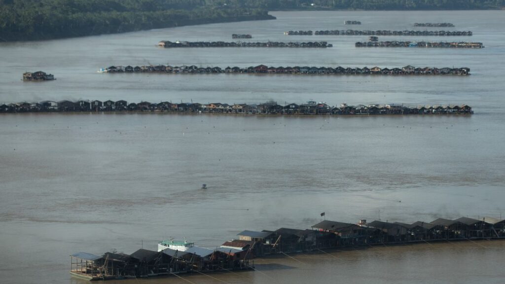 Cientos de mineros ilegales invaden la Amazonia brasileña