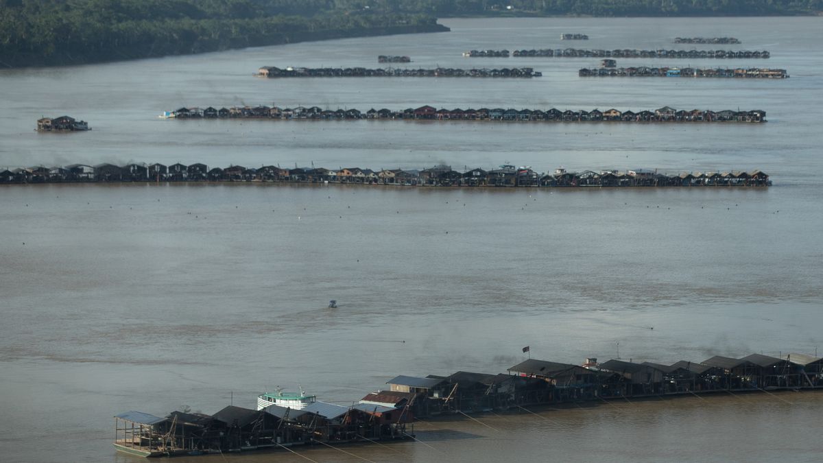 Cientos de mineros ilegales invaden la Amazonia brasileña