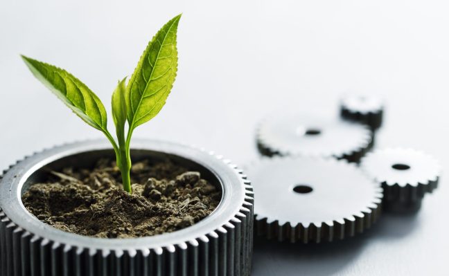 Cómo 2 empresas aprovecharon el crecimiento orgánico e inorgánico