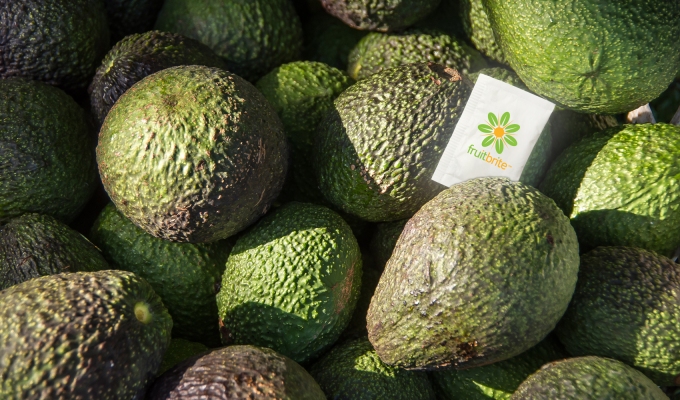 Cómo Hazel Technologies evita que las frutas y verduras frescas se echen a perder