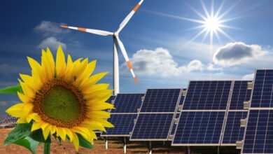 Con $ 25 millones, Arcadia Power busca expandir sus servicios distribuidos de energía renovable