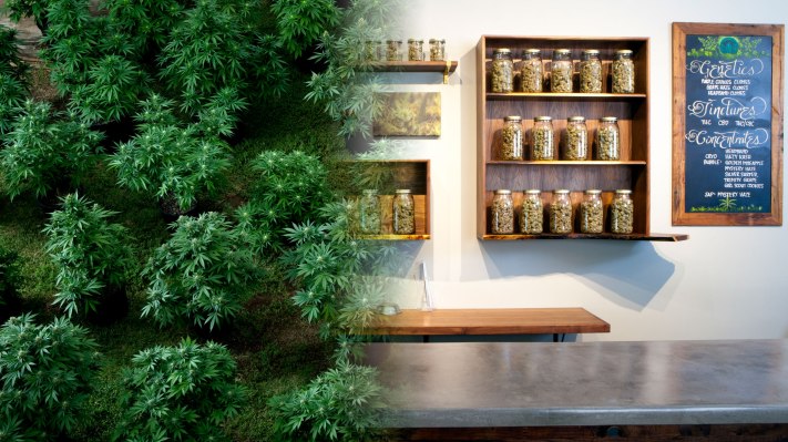 Confident Cannabis es la bolsa de valores de marihuana