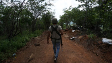 Desarmarán a autodefensas en Michoacán, dice Ramírez Bedolla