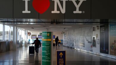 EU estudia datos de nueva variante del Covid-19 antes de decidir sobre viajes: Fauci