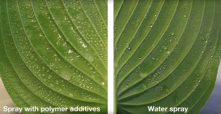 El MIT hace que los pesticidas sean más seguros haciéndolos pegajosos