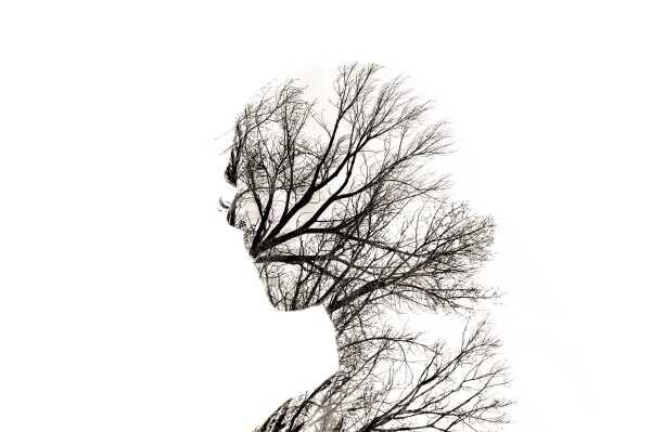 El lado oscuro del ambientalismo