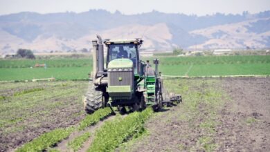 En California asolada por la sequía, una nueva tecnología de fertilizantes de KDC Ag podría brindar alivio