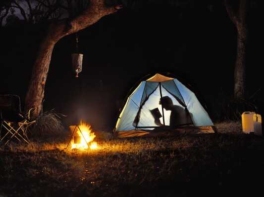 Es un gran momento para el cambio climático.  Aquí hay 4 libros para el otoño para comprender qué está cambiando