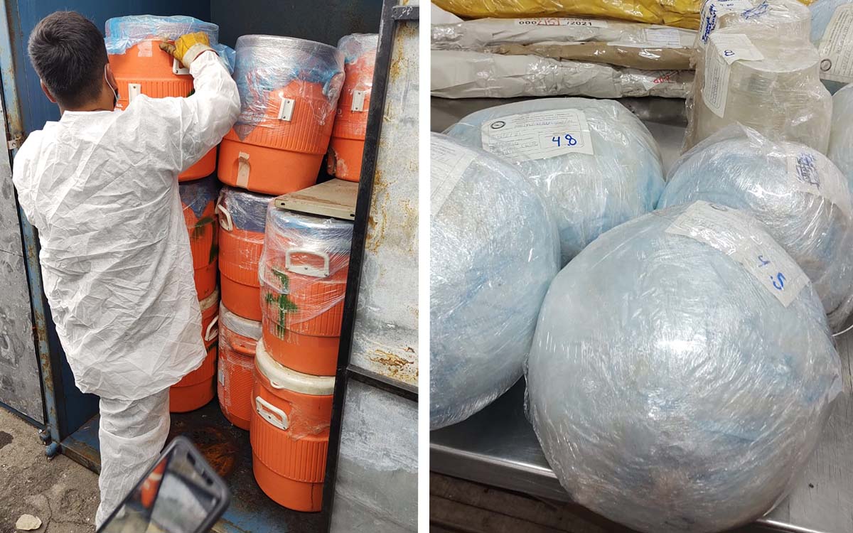 FGR destruye más de 28 toneladas de precursores químicos en Jalisco