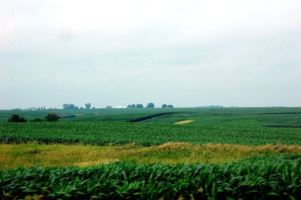 Farmer’s Business Network cultiva $ 40 millones para ayudar a los agricultores a comprar semillas a precios favorables