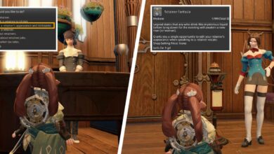 Final Fantasy XIV: Cómo cambiar la apariencia del retenedor