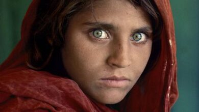 Sharbat Gula, retratada por Steve McCurry en 1984.