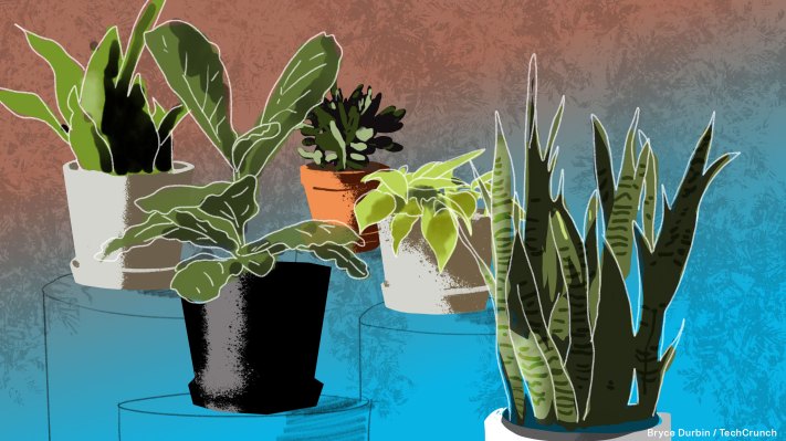 Justin Mast de Bloomscape explica cómo construyó una floreciente empresa de jardinería en Detroit