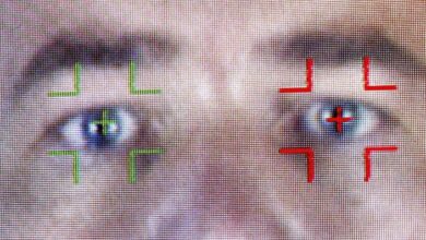 La ICO del Reino Unido advierte sobre la amenaza de vigilancia de 'Big Data' del reconocimiento facial en vivo en público