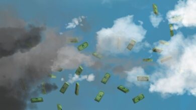 La empresa de tecnología climática Evergrow obtiene una semilla de $ 7 millones de XYZ Venture Capital, Congruent Ventures y First Round