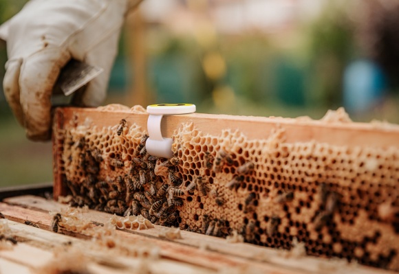 La plataforma de polinización de precisión de BeeHero se abre camino a $ 19 millones en nuevos fondos