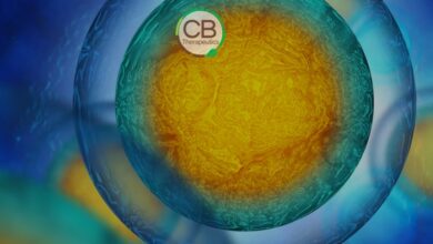 Los cannabinoides cultivados en laboratorio de CB Therapeutics podrían desbloquear nuevos medicamentos y hacer que otros sean asequibles
