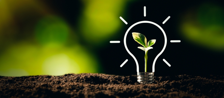 Los innovadores de Estados Unidos resolverán el cambio climático, no los reguladores