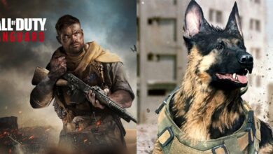 Los perros de ataque OP de Call of Duty: Vanguard siguen siendo un problema