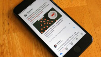 Macaw seleccionará Twitter para usted, lo ayudará a expandir su red