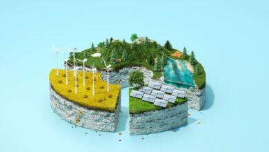 Marc y Lynne Benioff, Salesforce donan $ 300 millones para fomentar la acción climática