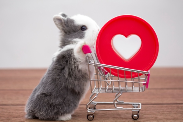 Microsoft trae nuevas herramientas de compra a su navegador Edge