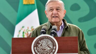 "Mis hijos no tienen nada que ver con Sembrando Vida": AMLO; critica a Aristegui y Proceso por reportaje