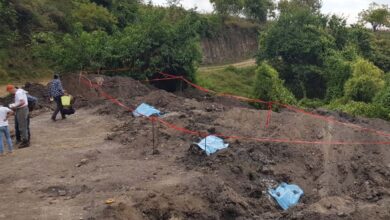 Morelos: Brigada Nacional de Búsqueda de Personas Desaparecidas encuentra en Mixtlalcingo 75 restos óseos cubiertos con yeso