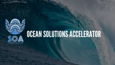 Ocean Solutions Accelerator nombra su primera ola de startups de conservación