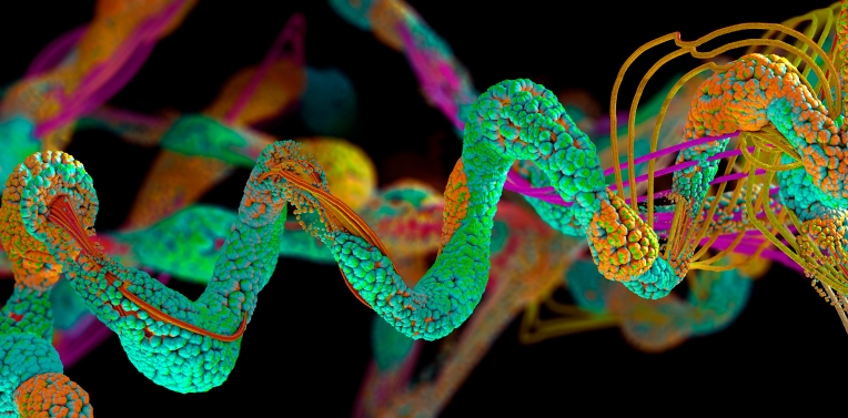 Pepper Bio, respaldado por NFX, surge del sigilo con herramientas para perfeccionar enfermedades complejas