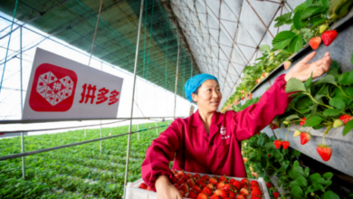 Pinduoduo se roba la corona de Alibaba con 788 millones de usuarios activos anuales