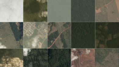 Planet recluta a expertos en aprendizaje automático para analizar un tesoro de datos de la cuenca del Amazonas