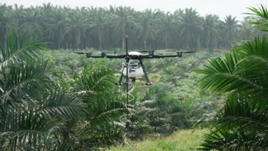 Poladrone, con sede en Malasia, recauda una ronda de semillas de 4,29 millones de dólares para proteger los cultivos