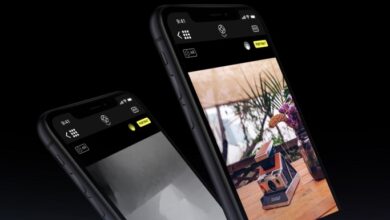 Por fin, los retratos de mascotas con fondo borroso son posibles en el iPhone XR