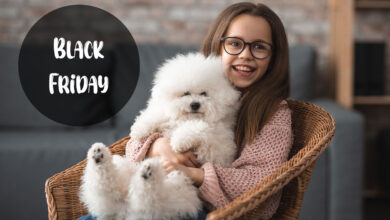 black-friday-deals-kids-chairs