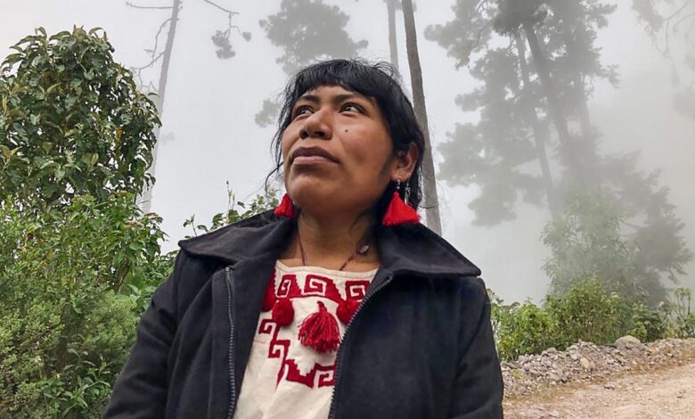 Red de Defensoras denuncia omisión de autoridades federales y de CDMX en búsqueda de ambientalista Irma Galindo