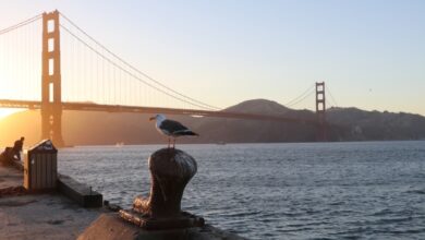 Resumen de TechCrunch +: Automattic TC-1, subvenciones federales para empresas emergentes, 'día de hacer una mierda'