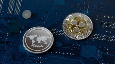 Ripple persigue a las nuevas empresas para construir un ecosistema en torno a la criptomoneda XRP